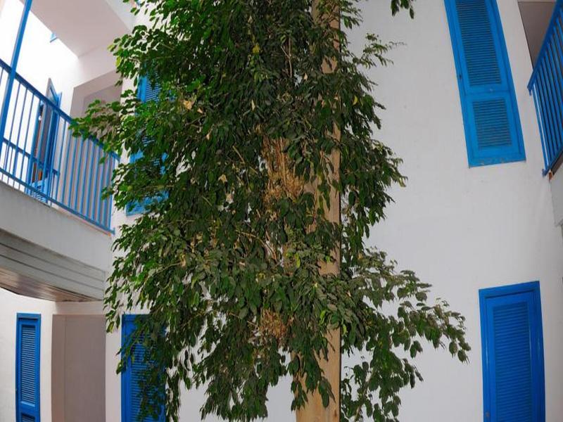Costa Volcan And Spa Puerto del Carmen  Dış mekan fotoğraf